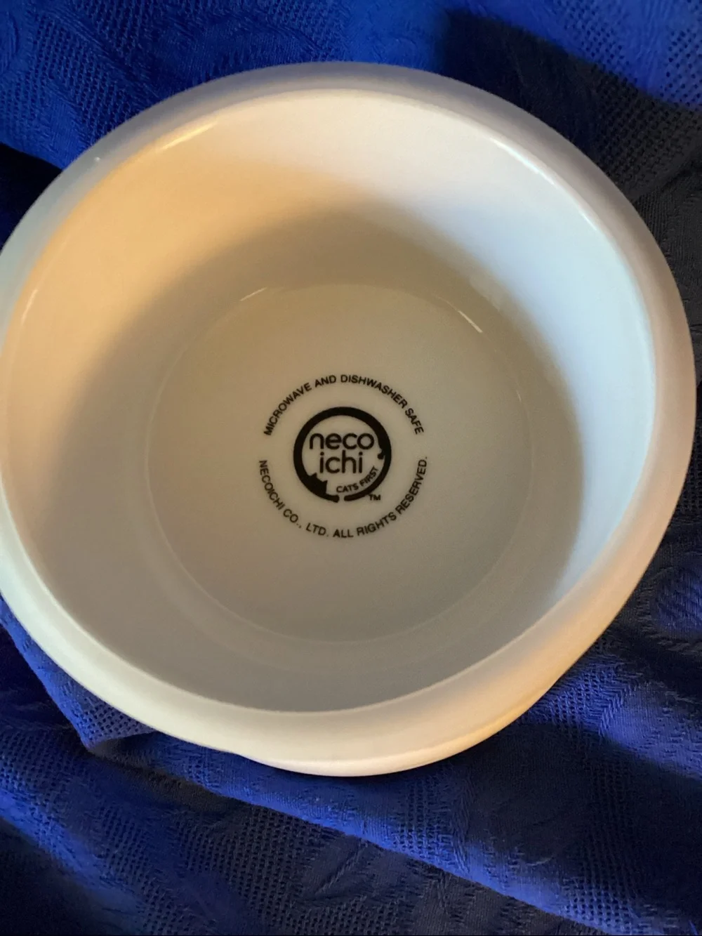 Cat Food Elevated Bowl by Necoichi Brand.